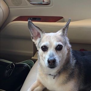 Meet your Posher, Shari